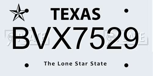 BVX7529 Texas License Plate