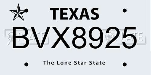 BVX8925 Texas License Plate
