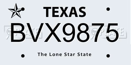BVX9875 Texas License Plate
