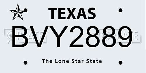 BVY2889 Texas License Plate