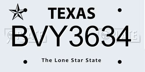 BVY3634 Texas License Plate