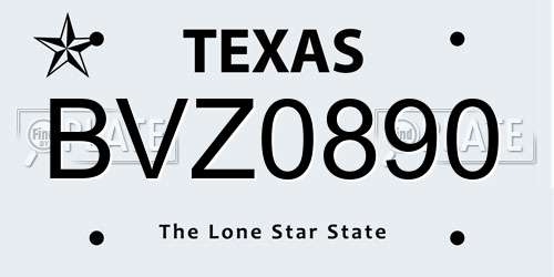 BVZ0890 Texas License Plate