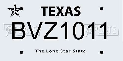 BVZ1011 Texas License Plate