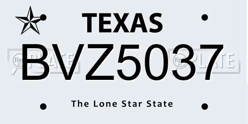 BVZ5037 Texas License Plate