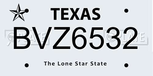 BVZ6532 Texas License Plate