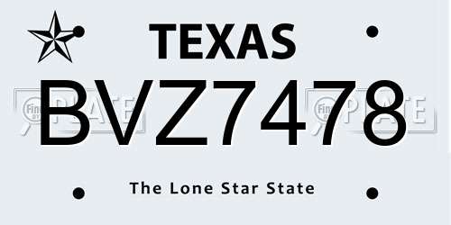 BVZ7478 Texas License Plate