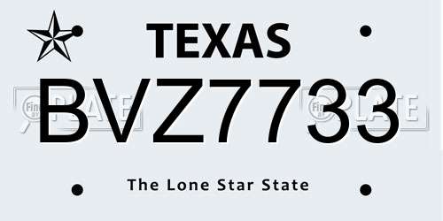 BVZ7733 Texas License Plate