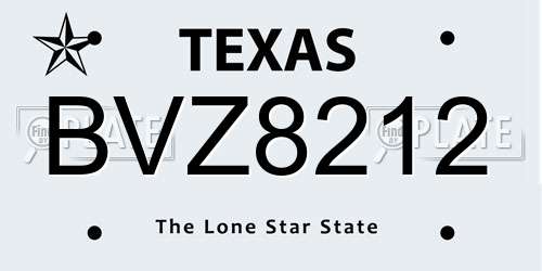 BVZ8212 Texas License Plate