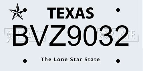 BVZ9032 Texas License Plate
