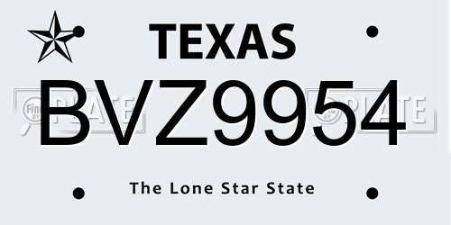 BVZ9954 Texas License Plate