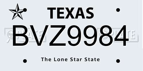 BVZ9984 Texas License Plate