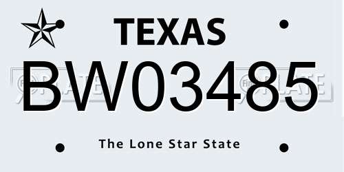 BW03485 Texas License Plate
