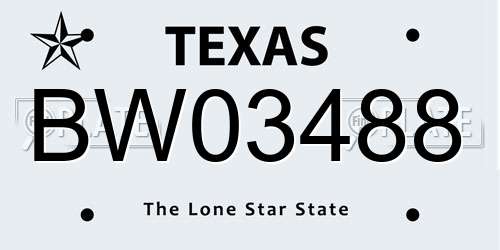 BW03488 Texas License Plate