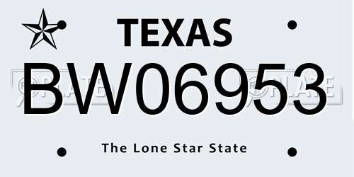 BW06953 Texas License Plate
