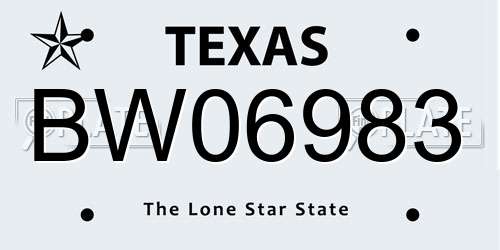BW06983 Texas License Plate