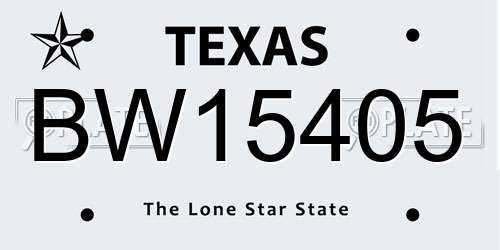 BW15405 Texas License Plate