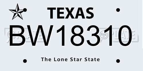 BW18310 Texas License Plate