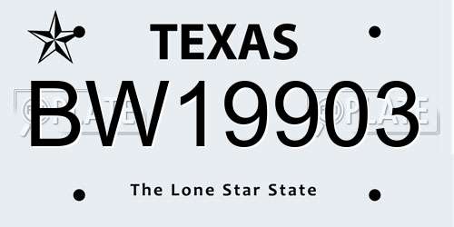BW19903 Texas License Plate