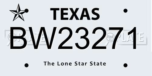 BW23271 Texas License Plate