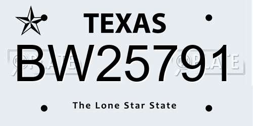 BW25791 Texas License Plate