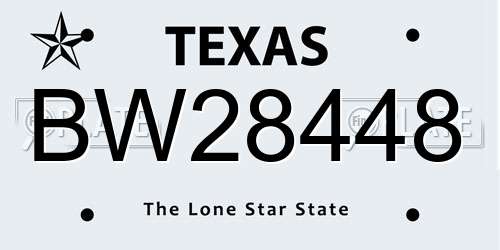 BW28448 Texas License Plate