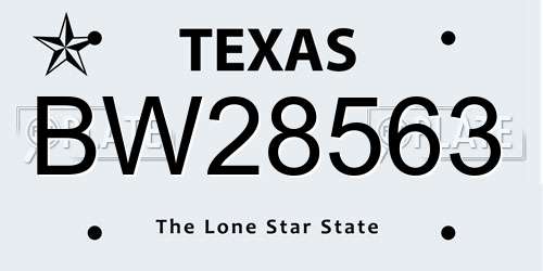 BW28563 Texas License Plate