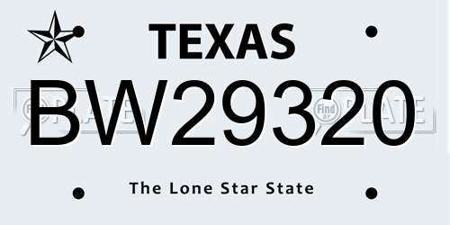 BW29320 Texas License Plate