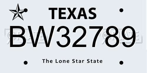 BW32789 Texas License Plate
