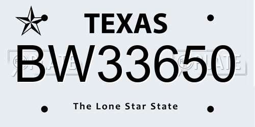 BW33650 Texas License Plate