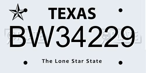BW34229 Texas License Plate