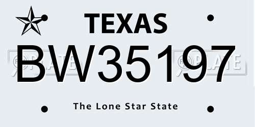 BW35197 Texas License Plate