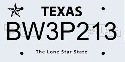 BW3P213 Texas License Plate