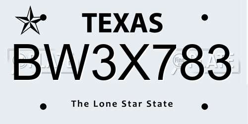 BW3X783 Texas License Plate