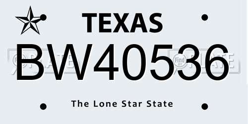 BW40536 Texas License Plate