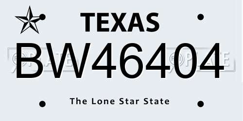 BW46404 Texas License Plate