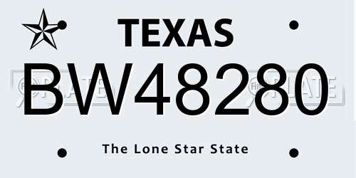 BW48280 Texas License Plate