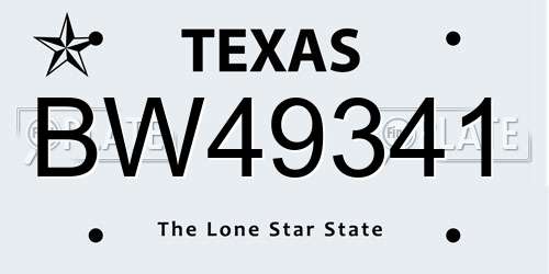 BW49341 Texas License Plate