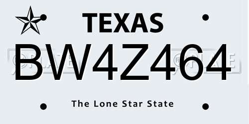 BW4Z464 Texas License Plate