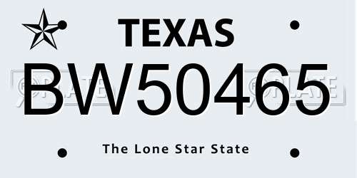 BW50465 Texas License Plate