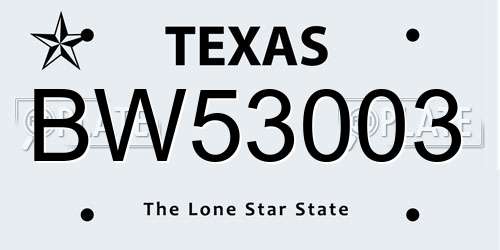 BW53003 Texas License Plate