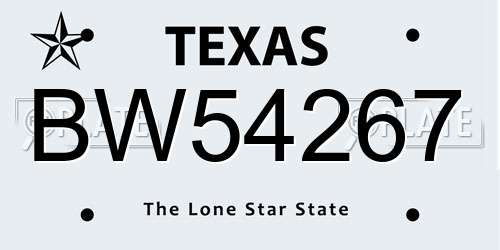 BW54267 Texas License Plate