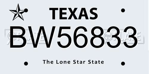 BW56833 Texas License Plate