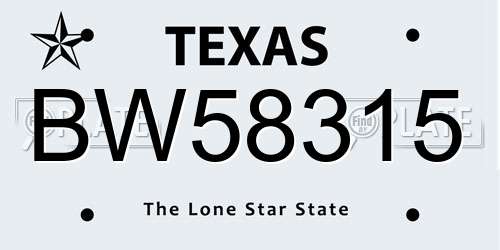 BW58315 Texas License Plate