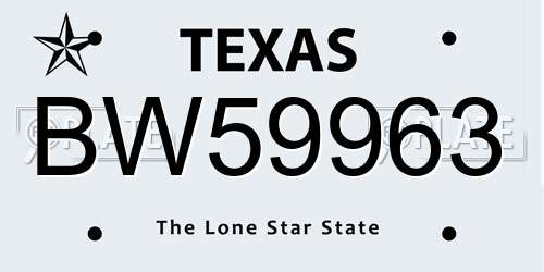 BW59963 Texas License Plate