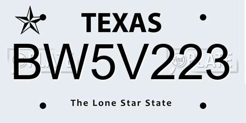 BW5V223 Texas License Plate