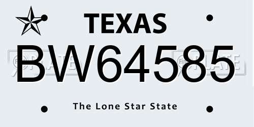 BW64585 Texas License Plate