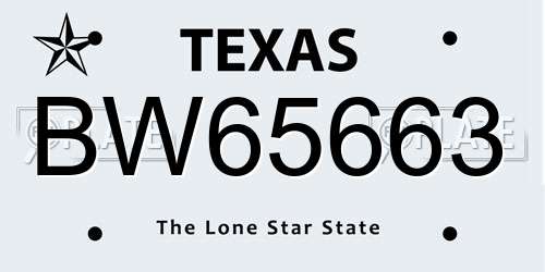 BW65663 Texas License Plate