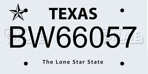 BW66057 Texas License Plate