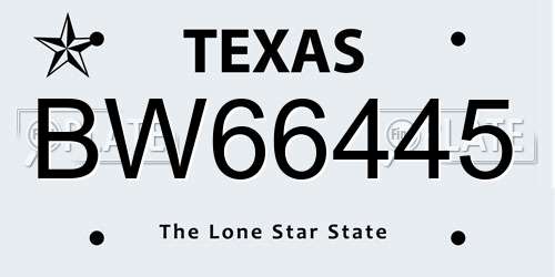 BW66445 Texas License Plate