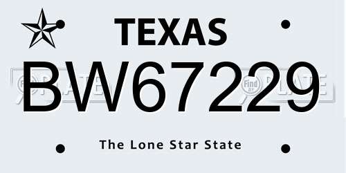 BW67229 Texas License Plate